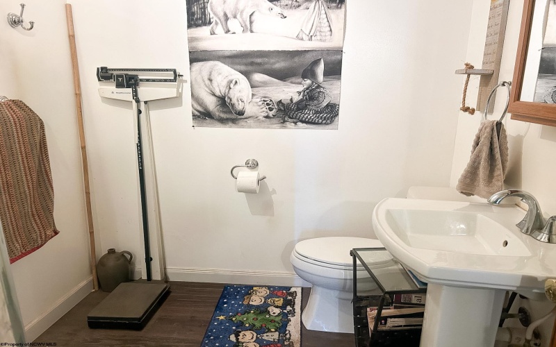 828 Alpine Street, Morgantown, West Virginia 26505, 3 Bedrooms Bedrooms, 10 Rooms Rooms,3 BathroomsBathrooms,Single Family Detached,For Sale,Alpine,10163595