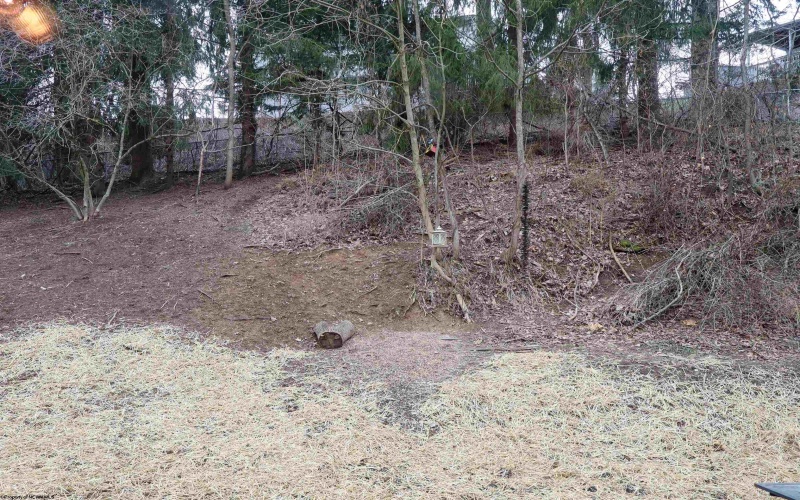 828 Alpine Street, Morgantown, West Virginia 26505, 3 Bedrooms Bedrooms, 10 Rooms Rooms,3 BathroomsBathrooms,Single Family Detached,For Sale,Alpine,10163595