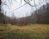 TBD Sand Fork Road, Roanoke, West Virginia 26447-0000, ,Lots/land,For Sale,Sand Fork,10162741