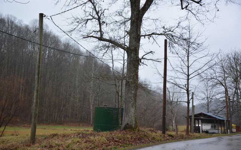 TBD Sand Fork Road, Roanoke, West Virginia 26447-0000, ,Lots/land,For Sale,Sand Fork,10162741