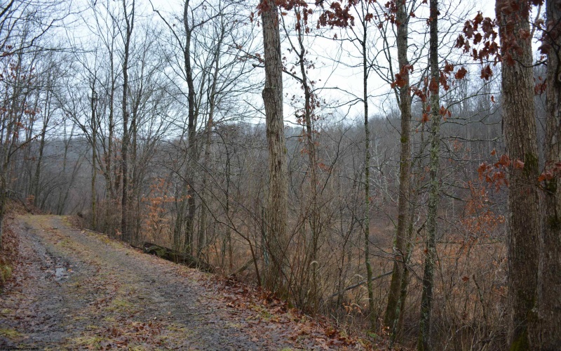 TBD Sand Fork Road, Roanoke, West Virginia 26447-0000, ,Lots/land,For Sale,Sand Fork,10162741