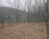1419 Phillips Dairy Road, Buckhannon, West Virginia 26201, ,Lots/land,For Sale,Phillips Dairy,10163613