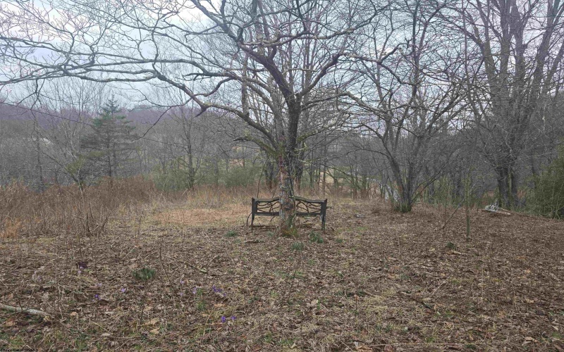 1419 Phillips Dairy Road, Buckhannon, West Virginia 26201, ,Lots/land,For Sale,Phillips Dairy,10163613