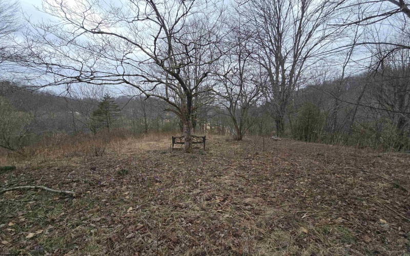 1419 Phillips Dairy Road, Buckhannon, West Virginia 26201, ,Lots/land,For Sale,Phillips Dairy,10163613