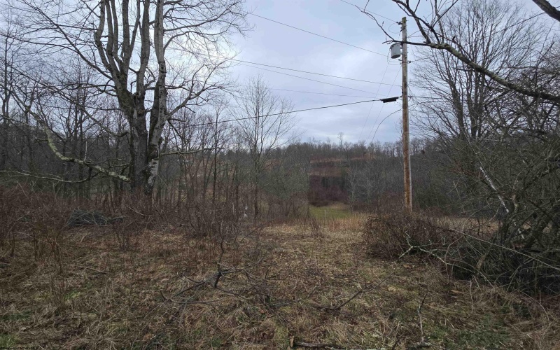 1419 Phillips Dairy Road, Buckhannon, West Virginia 26201, ,Lots/land,For Sale,Phillips Dairy,10163613