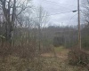 1419 Phillips Dairy Road, Buckhannon, West Virginia 26201, ,Lots/land,For Sale,Phillips Dairy,10163613