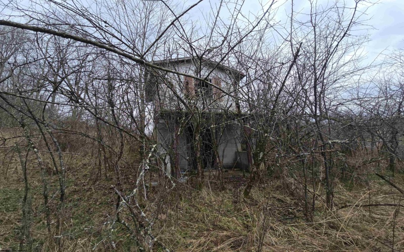 1419 Phillips Dairy Road, Buckhannon, West Virginia 26201, ,Lots/land,For Sale,Phillips Dairy,10163613