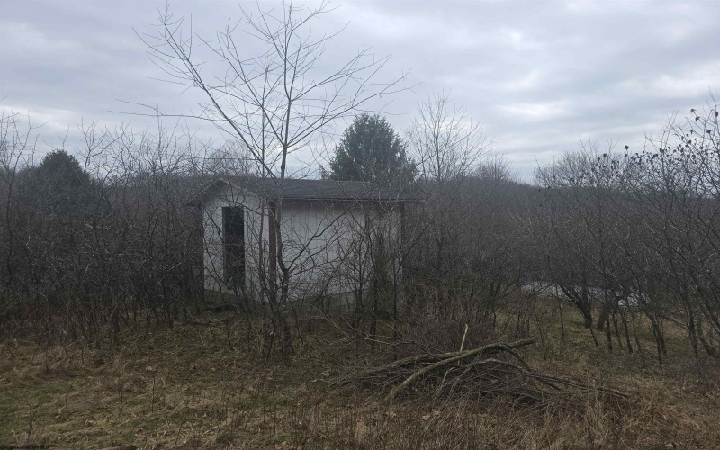 1419 Phillips Dairy Road, Buckhannon, West Virginia 26201, ,Lots/land,For Sale,Phillips Dairy,10163613
