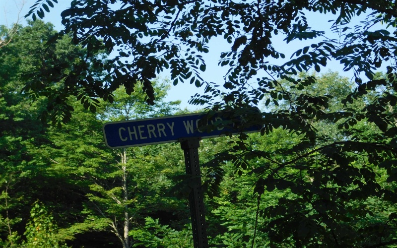 Lot 7 Cherry Wood Lane, Terra Alta, West Virginia 26764, ,Lots/land,For Sale,Cherry Wood,10146145