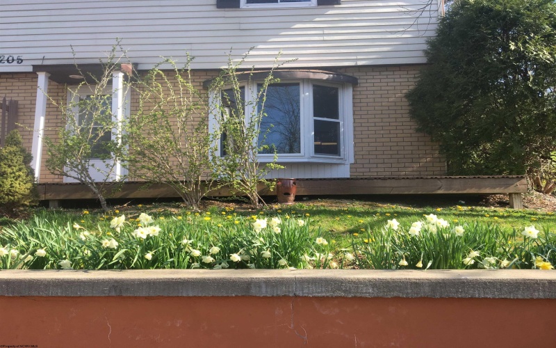 1205 Bartlow Street, Morgantown, West Virginia 26505-5241, 2 Bedrooms Bedrooms, 5 Rooms Rooms,2 BathroomsBathrooms,Residential Rentals,For Rent,Bartlow,10163608