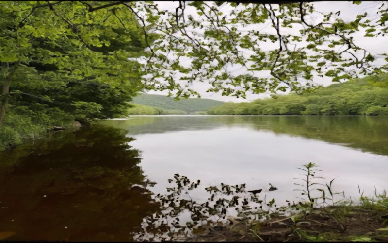 8 Old Hannahsville Lane, Parsons, West Virginia 26287, 3 Bedrooms Bedrooms, 9 Rooms Rooms,2 BathroomsBathrooms,Single Family Detached,For Sale,Old Hannahsville,10163599