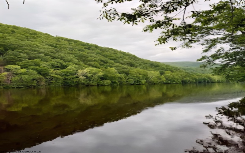 8 Old Hannahsville Lane, Parsons, West Virginia 26287, 3 Bedrooms Bedrooms, 9 Rooms Rooms,2 BathroomsBathrooms,Single Family Detached,For Sale,Old Hannahsville,10163599