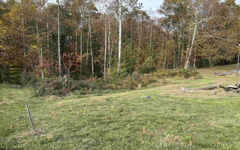 Lots 245/247 Coventry Drive, Bridgeport, West Virginia 26330, ,Lots/land,For Sale,Coventry,10163618