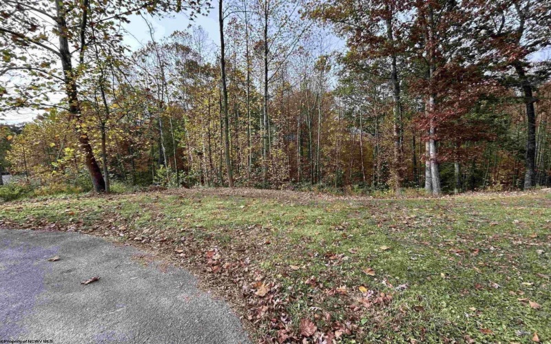 Lots 245/247 Coventry Drive, Bridgeport, West Virginia 26330, ,Lots/land,For Sale,Coventry,10163618