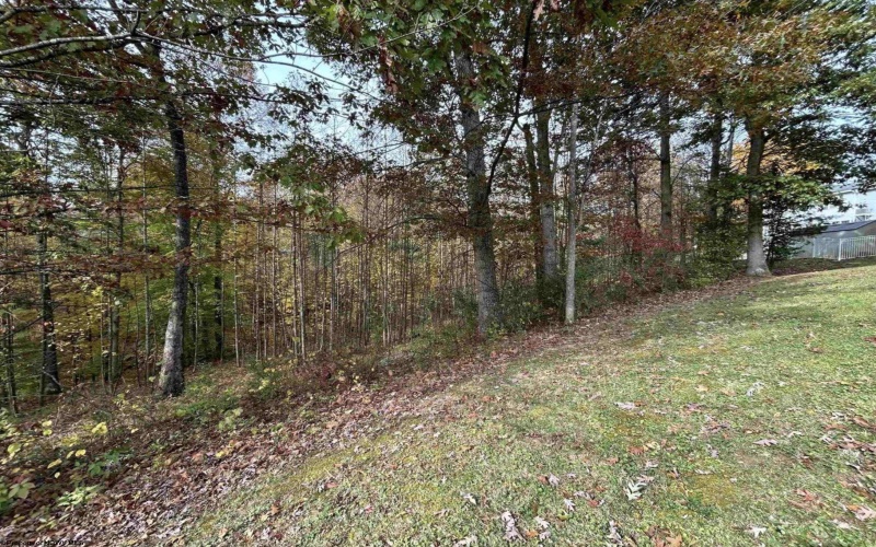 Lots 245/247 Coventry Drive, Bridgeport, West Virginia 26330, ,Lots/land,For Sale,Coventry,10163618