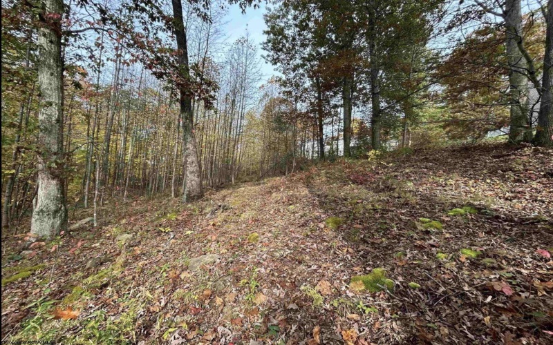 Lots 245/247 Coventry Drive, Bridgeport, West Virginia 26330, ,Lots/land,For Sale,Coventry,10163618