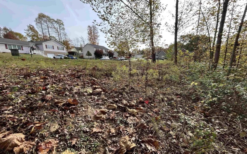 Lots 245/247 Coventry Drive, Bridgeport, West Virginia 26330, ,Lots/land,For Sale,Coventry,10163618