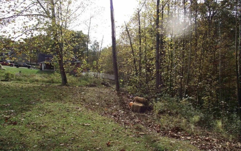 Lots 245/247 Coventry Drive, Bridgeport, West Virginia 26330, ,Lots/land,For Sale,Coventry,10163618