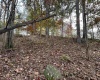 Lots 245/247 Coventry Drive, Bridgeport, West Virginia 26330, ,Lots/land,For Sale,Coventry,10163618