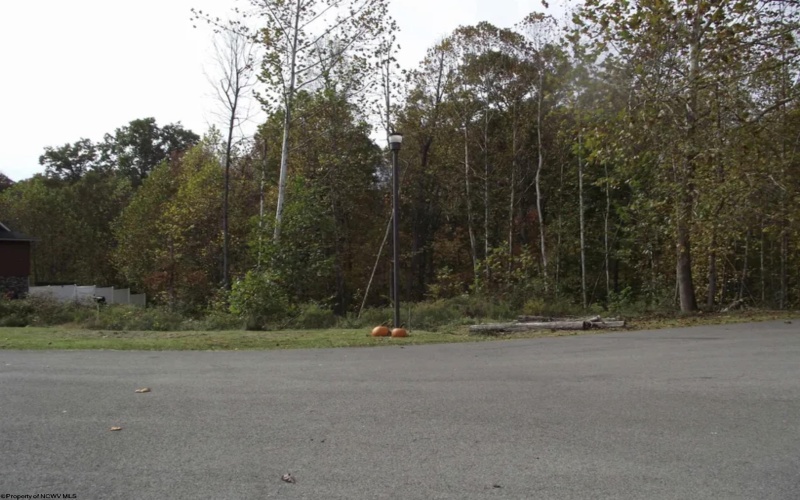 Lots 245/247 Coventry Drive, Bridgeport, West Virginia 26330, ,Lots/land,For Sale,Coventry,10163618