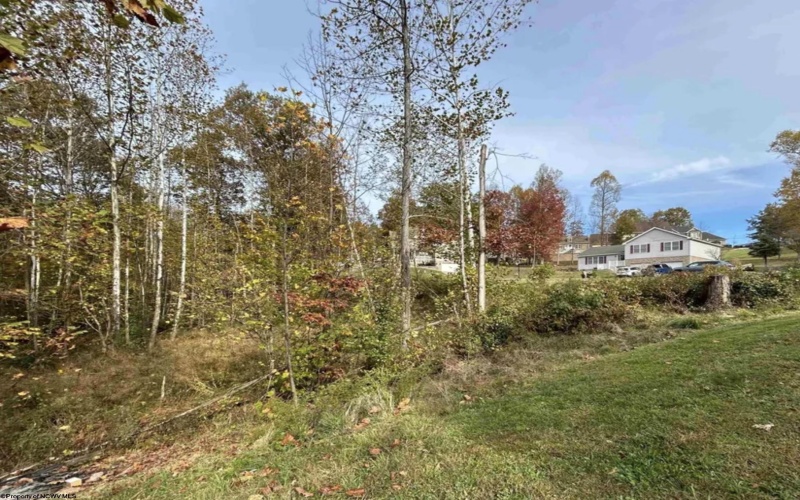 Lots 245/247 Coventry Drive, Bridgeport, West Virginia 26330, ,Lots/land,For Sale,Coventry,10163618