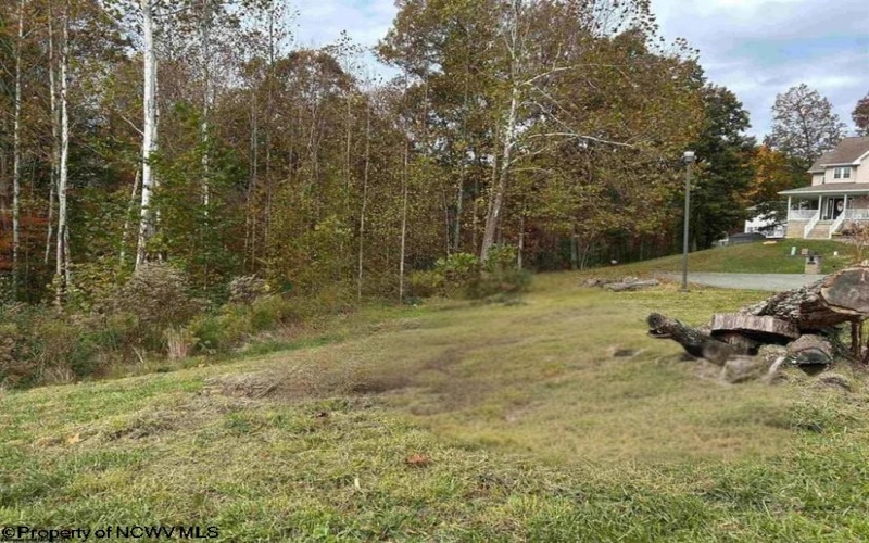 Lots 245/247 Coventry Drive, Bridgeport, West Virginia 26330, ,Lots/land,For Sale,Coventry,10163618