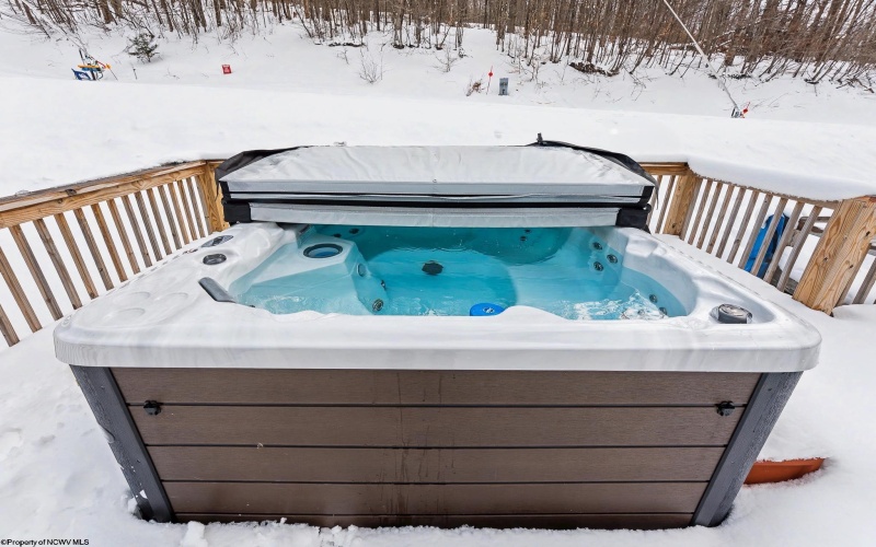 53 Ski In Court, Davis, West Virginia 26260, 5 Bedrooms Bedrooms, 10 Rooms Rooms,3 BathroomsBathrooms,Single Family Detached,For Sale,Ski In,10163617