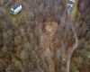 TBD Winding Hollow Drive, Morgantown, West Virginia 26508, ,Lots/land,For Sale,Winding Hollow,10163621