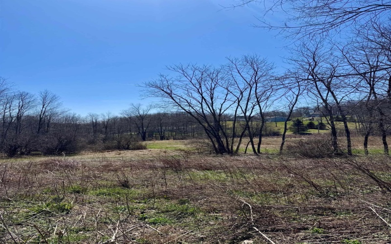 0000 Preston Highway, Bruceton Mills, West Virginia 26525, ,Lots/land,For Sale,Preston,10163622