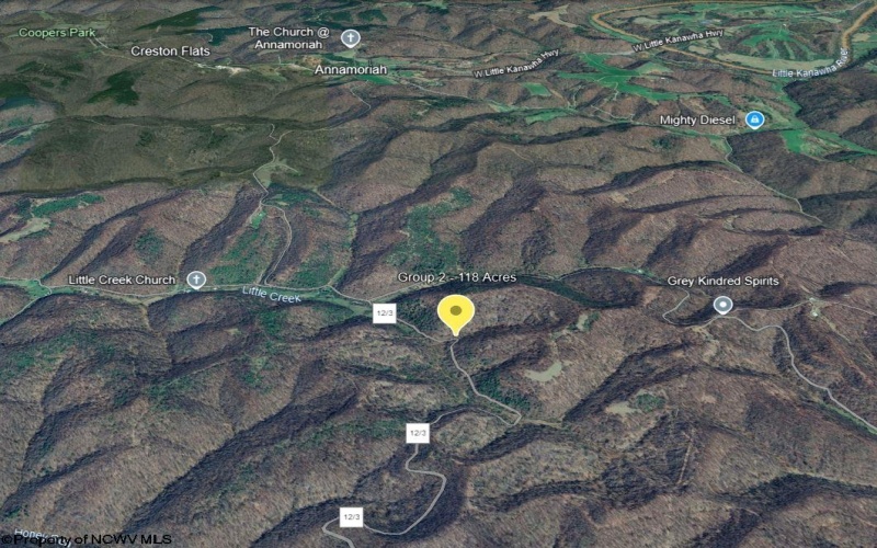 Parcel 10 Little Rowels Run Road, Creston, West Virginia 26141, ,Lots/land,For Sale,Little Rowels Run,10157555