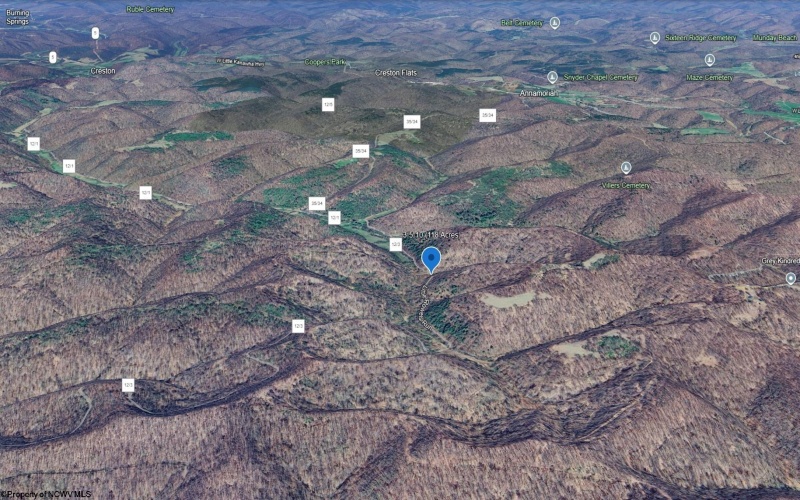 Parcel 10 Little Rowels Run Road, Creston, West Virginia 26141, ,Lots/land,For Sale,Little Rowels Run,10157555