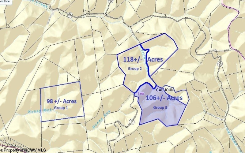 Parcel 10 Little Rowels Run Road, Creston, West Virginia 26141, ,Lots/land,For Sale,Little Rowels Run,10157555
