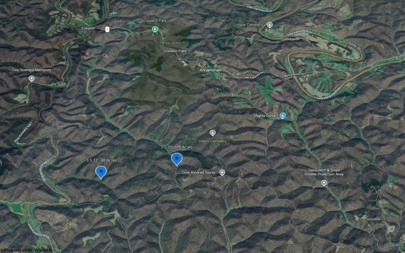 Parcel 10 Little Rowels Run Road, Creston, West Virginia 26141, ,Lots/land,For Sale,Little Rowels Run,10157555