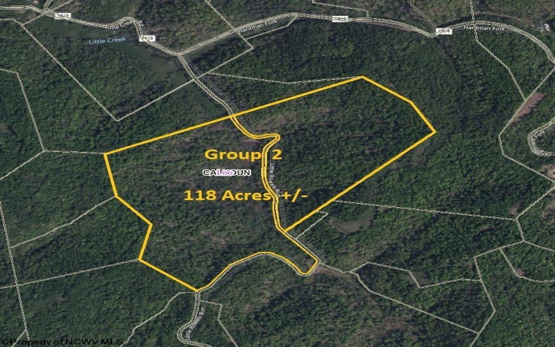 Parcel 10 Little Rowels Run Road, Creston, West Virginia 26141, ,Lots/land,For Sale,Little Rowels Run,10157555