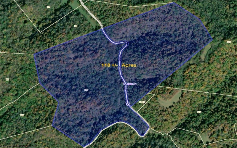 Parcel 10 Little Rowels Run Road, Creston, West Virginia 26141, ,Lots/land,For Sale,Little Rowels Run,10157555