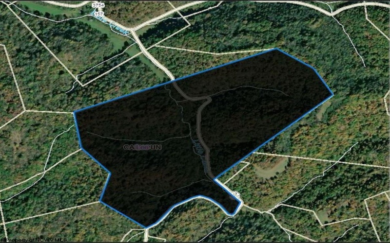 Parcel 10 Little Rowels Run Road, Creston, West Virginia 26141, ,Lots/land,For Sale,Little Rowels Run,10157555