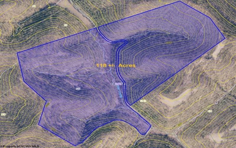 Parcel 10 Little Rowels Run Road, Creston, West Virginia 26141, ,Lots/land,For Sale,Little Rowels Run,10157555