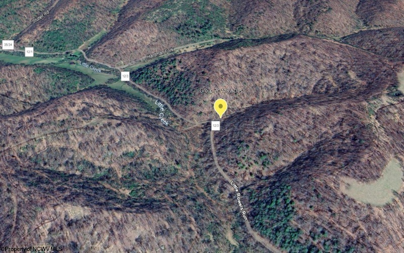 Parcel 10 Little Rowels Run Road, Creston, West Virginia 26141, ,Lots/land,For Sale,Little Rowels Run,10157555