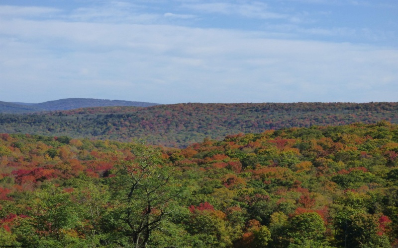 1516 White Oak School Road, Terra Alta, West Virginia 26764, 3 Bedrooms Bedrooms, 11 Rooms Rooms,3 BathroomsBathrooms,Single Family Detached,For Sale,White Oak School,10161785
