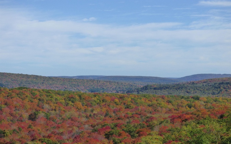 1516 White Oak School Road, Terra Alta, West Virginia 26764, 3 Bedrooms Bedrooms, 11 Rooms Rooms,3 BathroomsBathrooms,Single Family Detached,For Sale,White Oak School,10161785