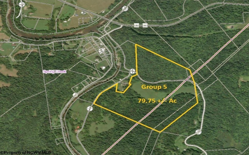 Parcel 88 Little Creek Road, Creston, West Virginia 26141, ,Lots/land,For Sale,Little Creek,10157593