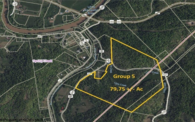 Parcel 88 Little Creek Road, Creston, West Virginia 26141, ,Lots/land,For Sale,Little Creek,10157593