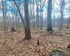 TBD Glade Run Road, Albright, West Virginia 26519, ,Lots/land,For Sale,Glade Run,10163623