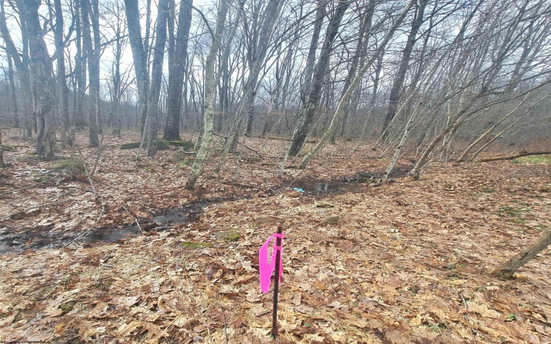 TBD Glade Run Road, Albright, West Virginia 26519, ,Lots/land,For Sale,Glade Run,10163623