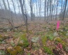 TBD Glade Run Road, Albright, West Virginia 26519, ,Lots/land,For Sale,Glade Run,10163623
