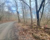 TBD Glade Run Road, Albright, West Virginia 26519, ,Lots/land,For Sale,Glade Run,10163623