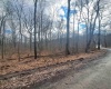 TBD Glade Run Road, Albright, West Virginia 26519, ,Lots/land,For Sale,Glade Run,10163623