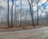 TBD Glade Run Road, Albright, West Virginia 26519, ,Lots/land,For Sale,Glade Run,10163623