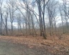 TBD Glade Run Road, Albright, West Virginia 26519, ,Lots/land,For Sale,Glade Run,10163623