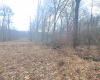 TBD Glade Run Road, Albright, West Virginia 26519, ,Lots/land,For Sale,Glade Run,10163623